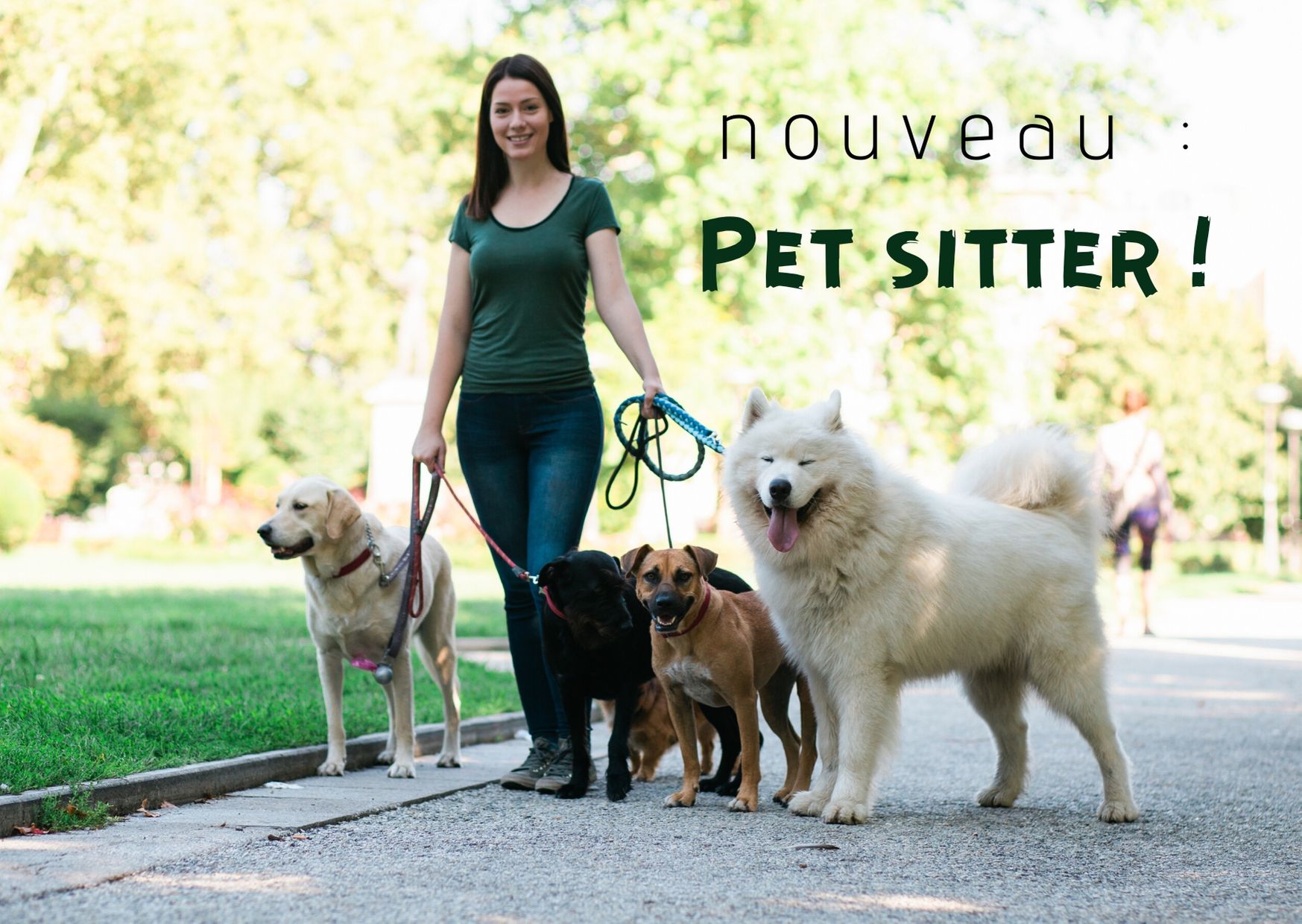 Jeune femme brune promenant des chiens en laisse dans un parc