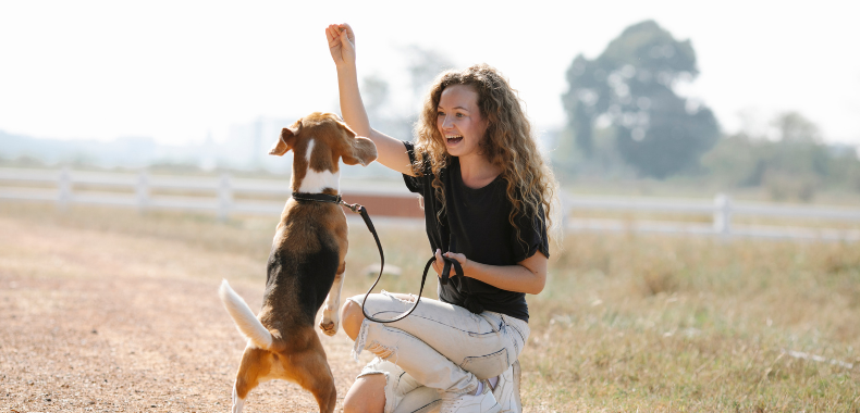 travailler avec les animaux sans diplome