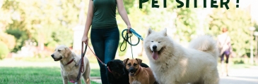 Jeune femme brune promenant des chiens en laisse dans un parc