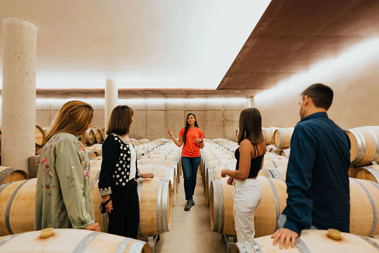 Groupe de personnes visitant une cave, écoutant la jeune femme guide qui explique le processus du vin